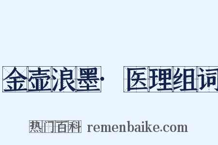 金壶浪墨·医理组词是什么意思的图片